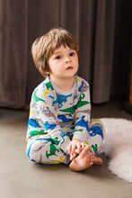 Load image into Gallery viewer, Blue and Light Grey Dinosaur Pajamas 2-Pack
